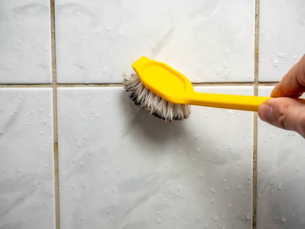 Best Mold Remediation for Specific Building Types in Troy Hills, NJ