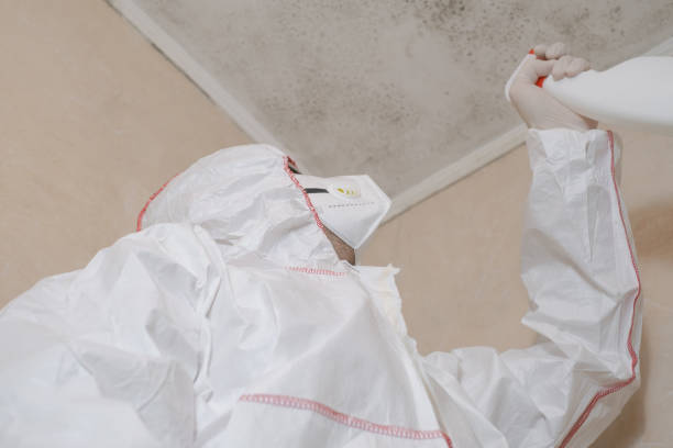 Best Industrial Mold Remediation in Troy Hills, NJ